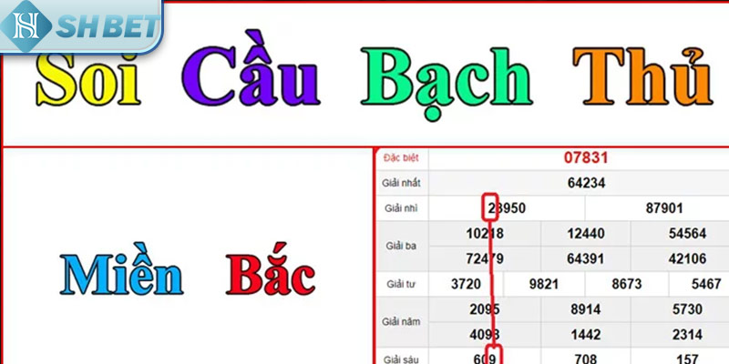 Sử dụng soi cầu đánh lô bạch thủ cực đỉnh 